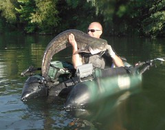 Gunther and his wels catfish