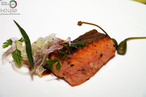 grill 582 Ocean Trout