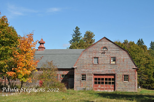 Old Red Barn by Paula Stephens