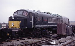 Class 44