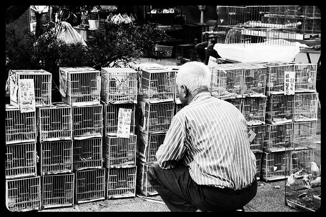 Old Man in Bird Street Hong Kong