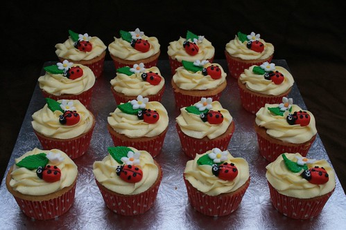 Ladybird cupcakes