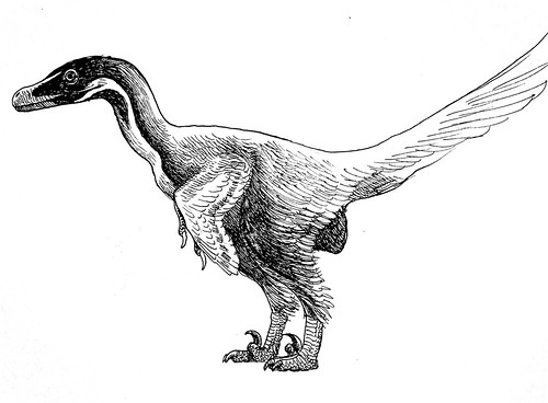 Velociraptor quickie sketch