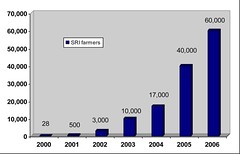 2000-2006年，使用強化稻作栽培體系人數成長。資料來源：柬埔寨農業研究發展中心 (CEDAC)