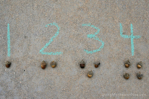 Acorn Numbers and Counters