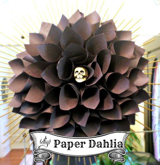 black paper dahlia