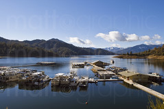 Boat Dock - Shasta Lake