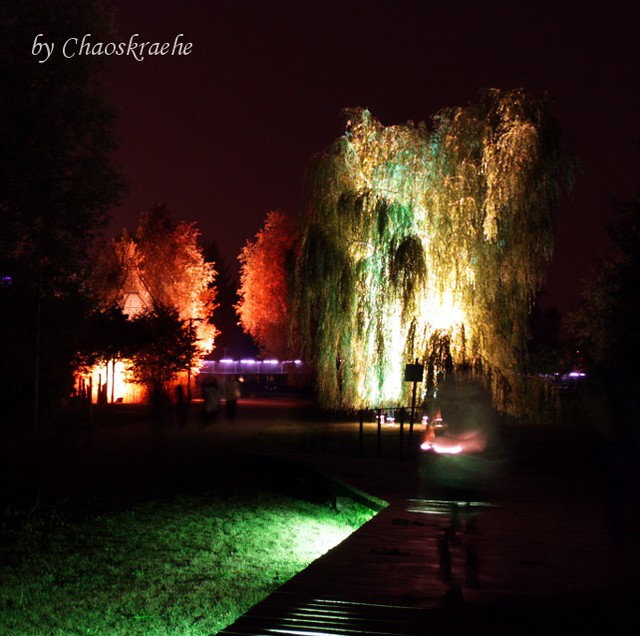 leuchtende Bäume 02