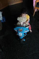 The Easy Rider Of My House by firoze shakir photographerno1