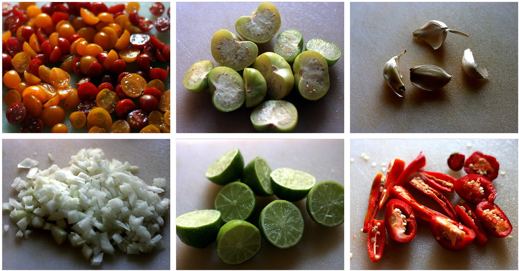 harvest salsa ingredients