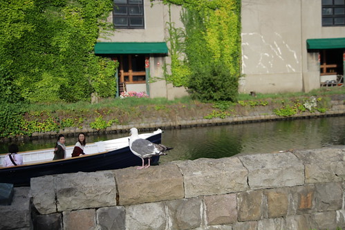A boat passing by the Otaru canal