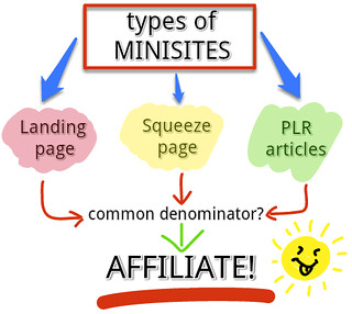 Types of minisites (diagram)