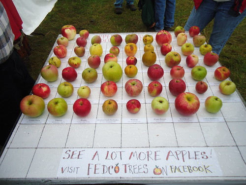 Maine apple varieties