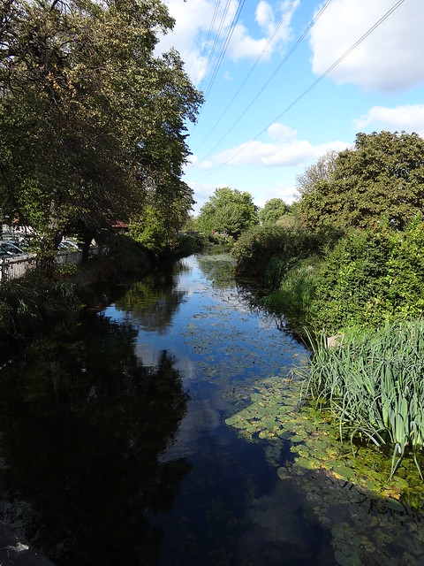Section of the River Lea