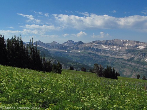View from the Face Trail, Jedediah Smith Wilderness Area, Caribou-Targhee National Forest, Wyoming