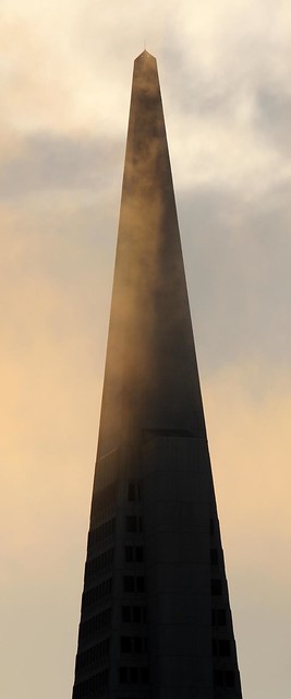 Transamerica Pyramid surrounded by fog at sunset - tallest skyscraper in San Francisco