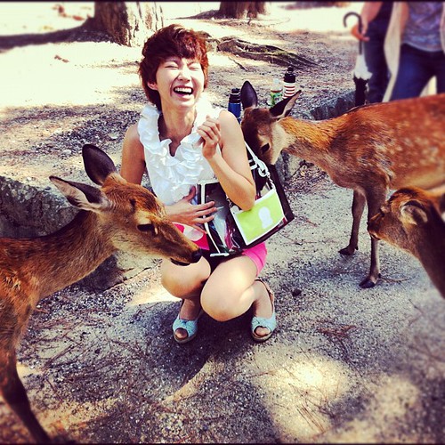 Young woman attacked by cute friendly deer of Nara.