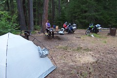 at the Threehorn campground, Umpqua National Forest