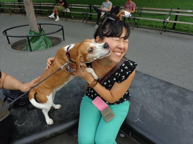 Manhattan Beagle and me