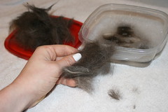 Washing Cat Hair Before Felting