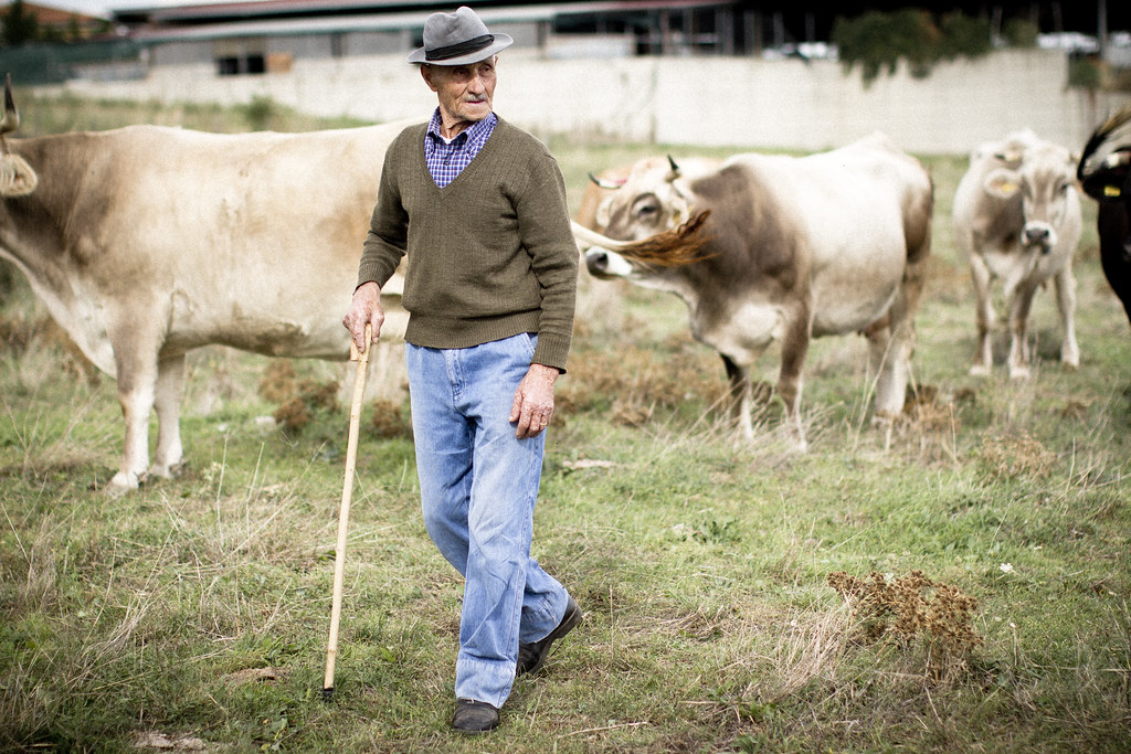 proud cow farmer in Basilicata, Italy2