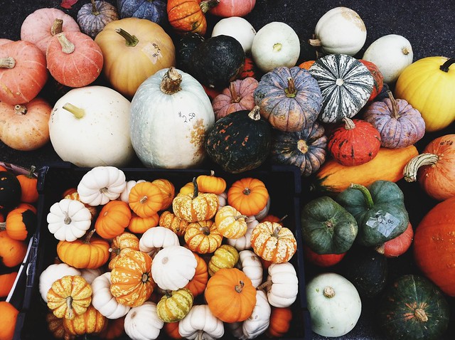 pumpkins, gourds, Indiana farmer's market, farmer's market, blue moon pumpkin, pile of pumpkins