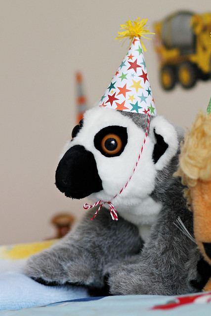 Lemur in a tiny hat?  YES PLEASE.