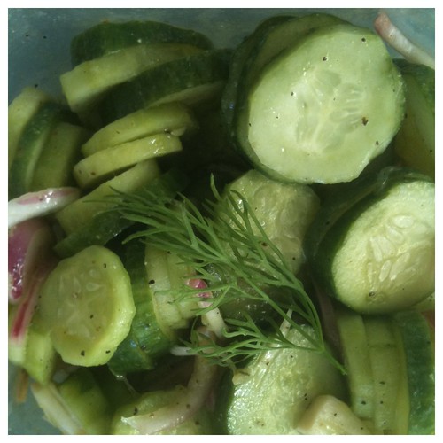 Cucumber Salad by Ayala Moriel