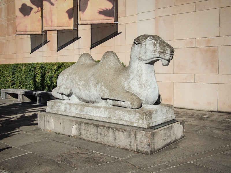 camel sculpture