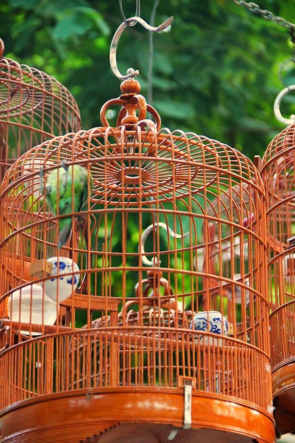 Bird Cage at Bird Street Hong Kong