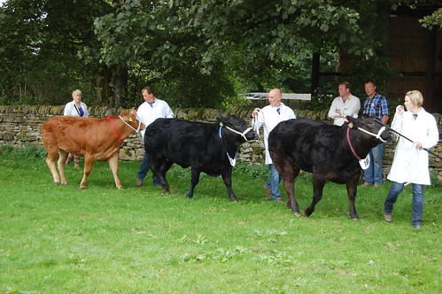 Bowes Agricultural Show Sept 12 (23)