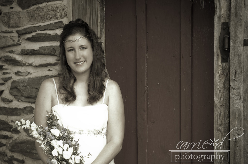 Maryland Wedding Photographer - Ostertag Vistas - Myersville, MD - Burton Wedding 9-2-2012 (762 of 578)BLOG