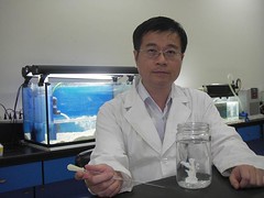 王志騰與薄荷腦處理後無共生藻的萼柱珊瑚(中央研究院生物多樣性中心提供)