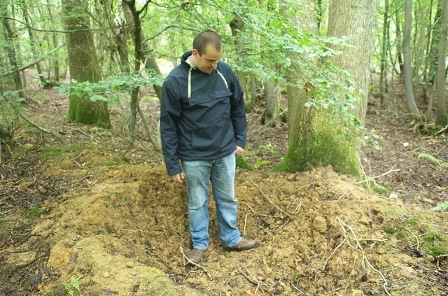 DSC_4523 Hole dug by wild boar