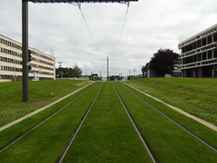 Le Mans - Tramway - Université