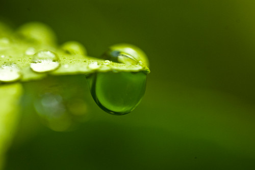 Water Droplet Macro by McGun