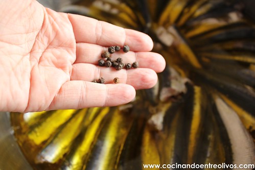 Sardinas en aceite (7)