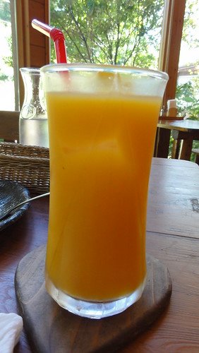 Special Orange Juice