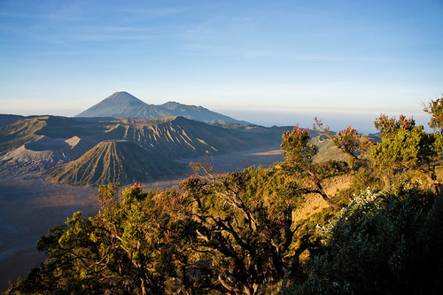From the Bromo Viewpoint