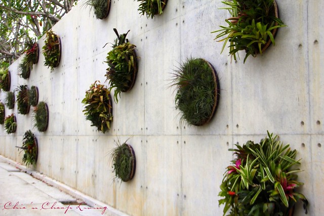 Gardens by the Bay Singapore plant wall - by Chic n Cheap Living