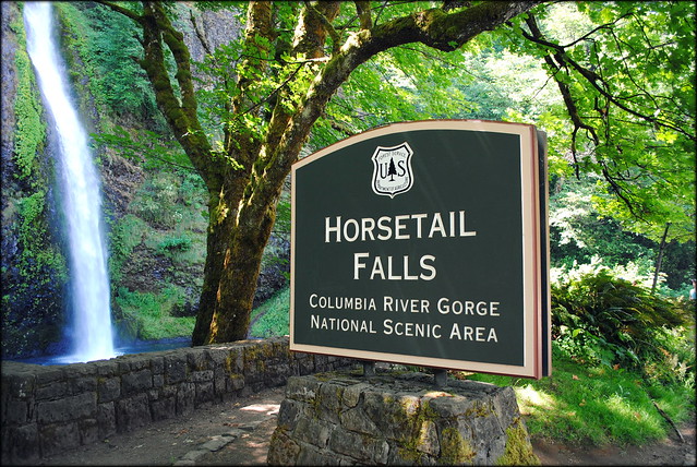 Horsetail Falls - Columbia River Gorge