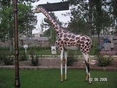 Yavru Zürafa Heykeli 