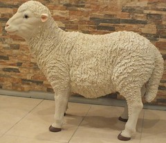 Yabani Büyük Koyun Heykeli  