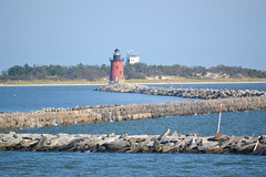 On Cape May 2012
