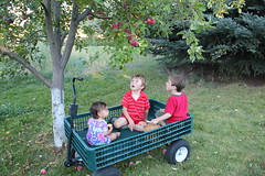 Three kids in a wagon 11