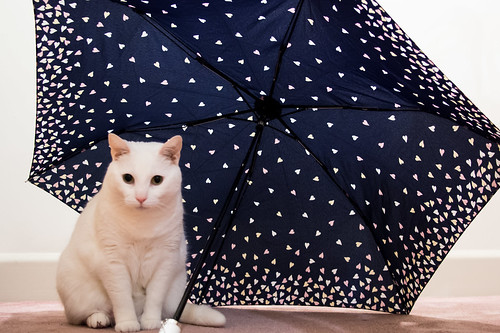 Snowflake under an umbrella