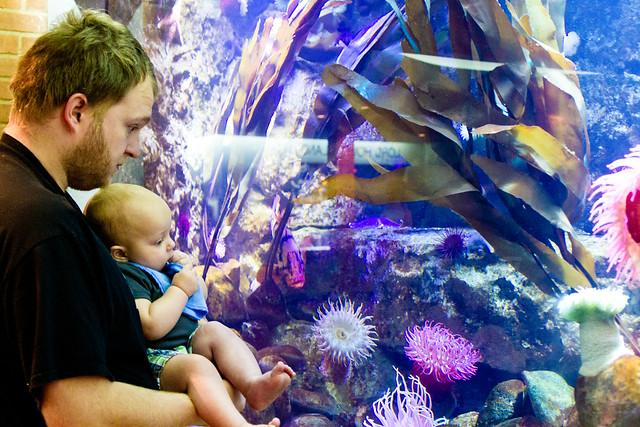 Dallas World Aquarium-012.jpg