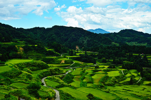 Hoshitouge rice field terraces