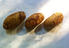 Potato - image 301 by dennisar