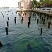 Old wharf pilings, Lewis Wharf posted by Leslee_atFlickr to Flickr